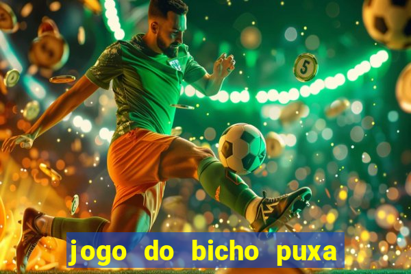 jogo do bicho puxa de dona maria